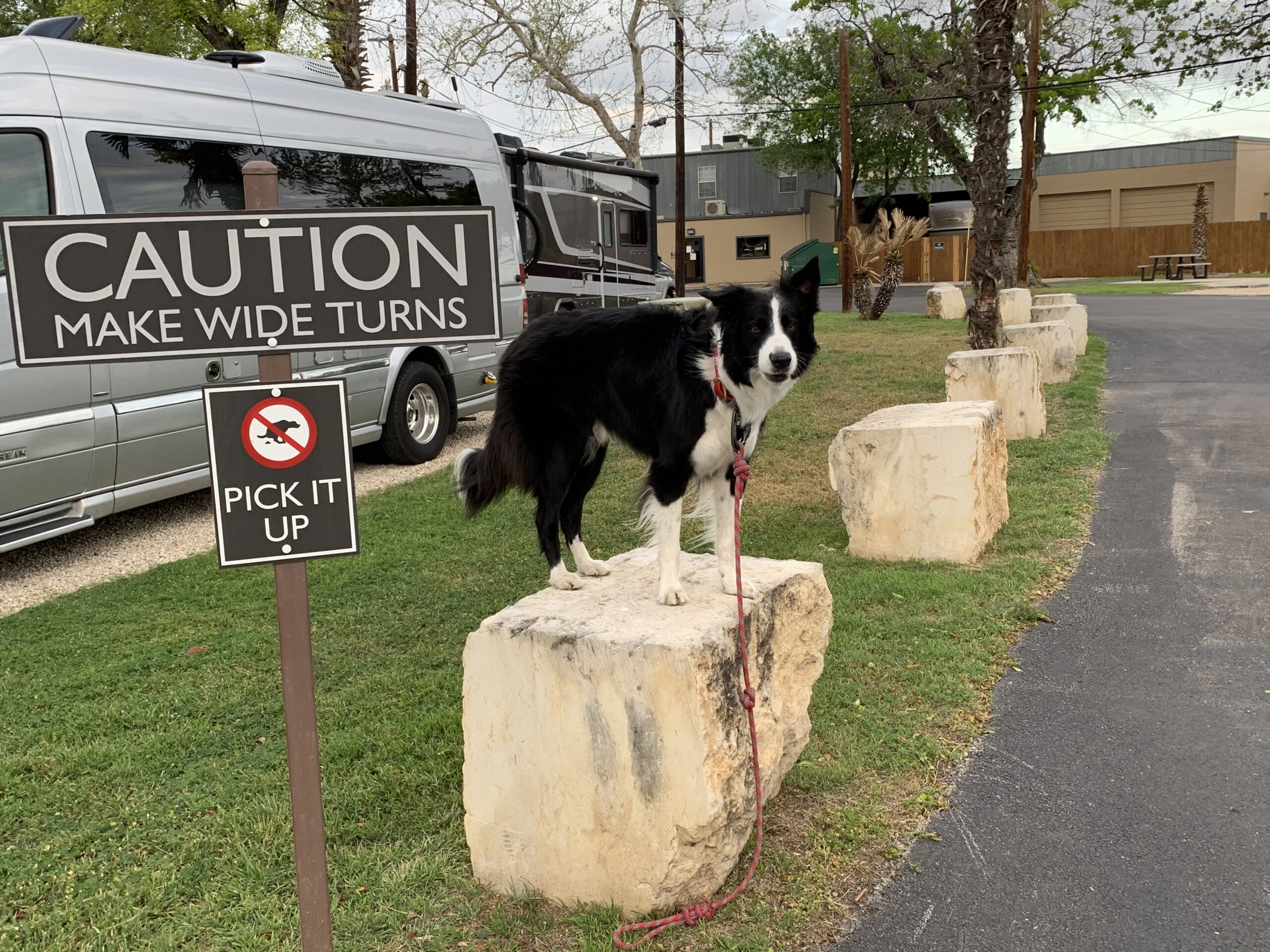 San Antonio and Beyond – our week in Texas