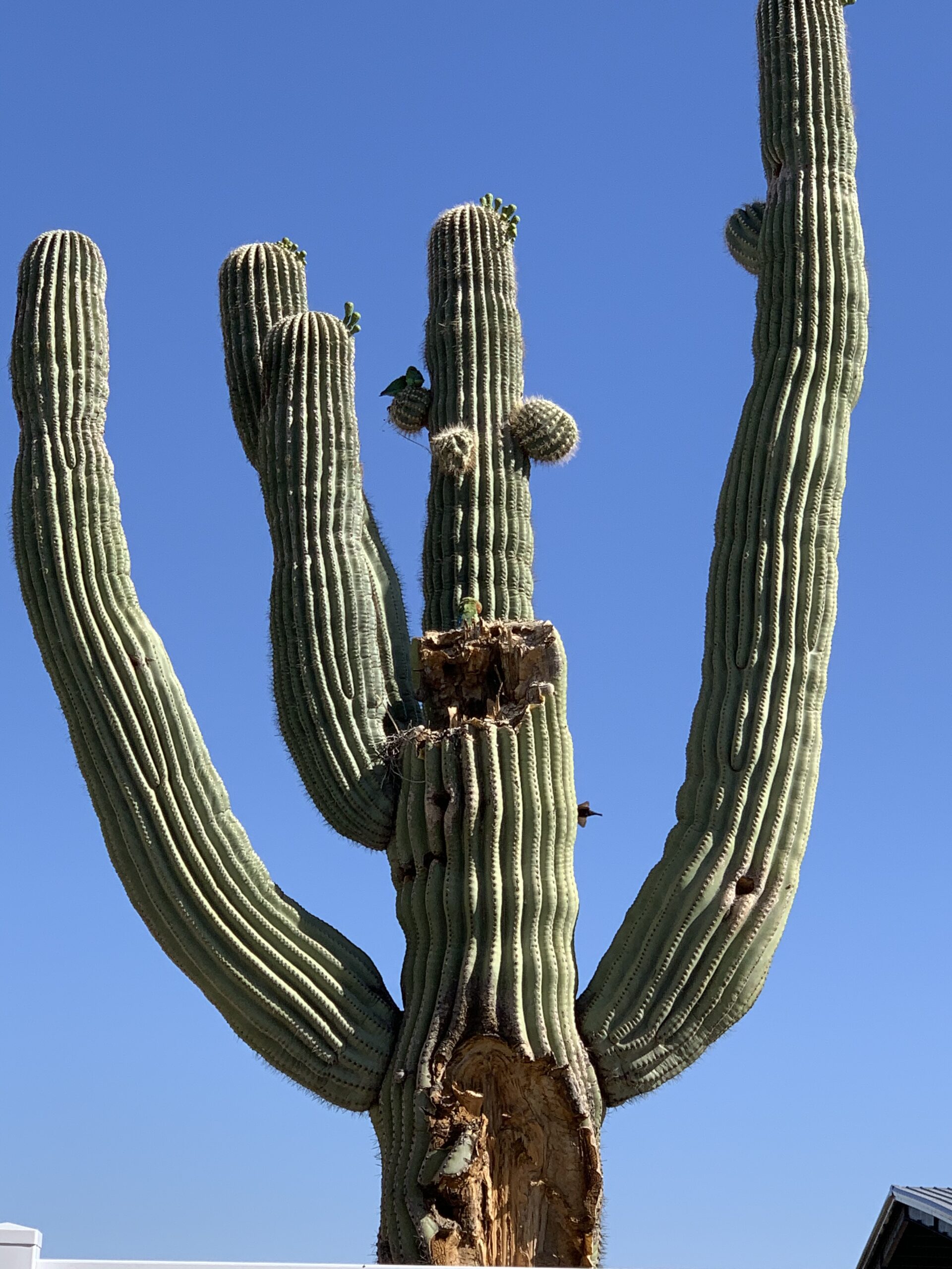 Destination Scottsdale – Arrived!