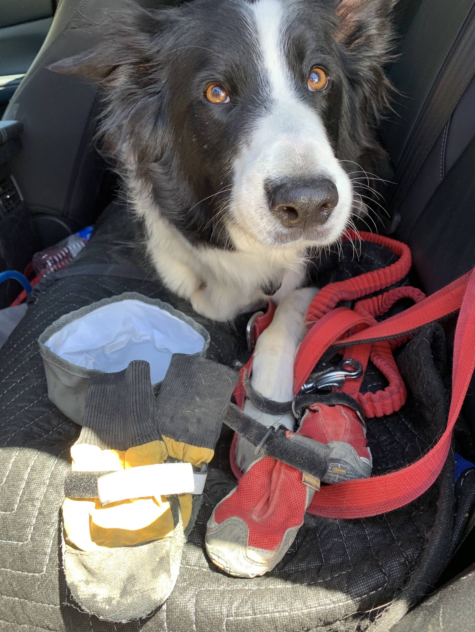 Red Canyon – Hiking with Fred