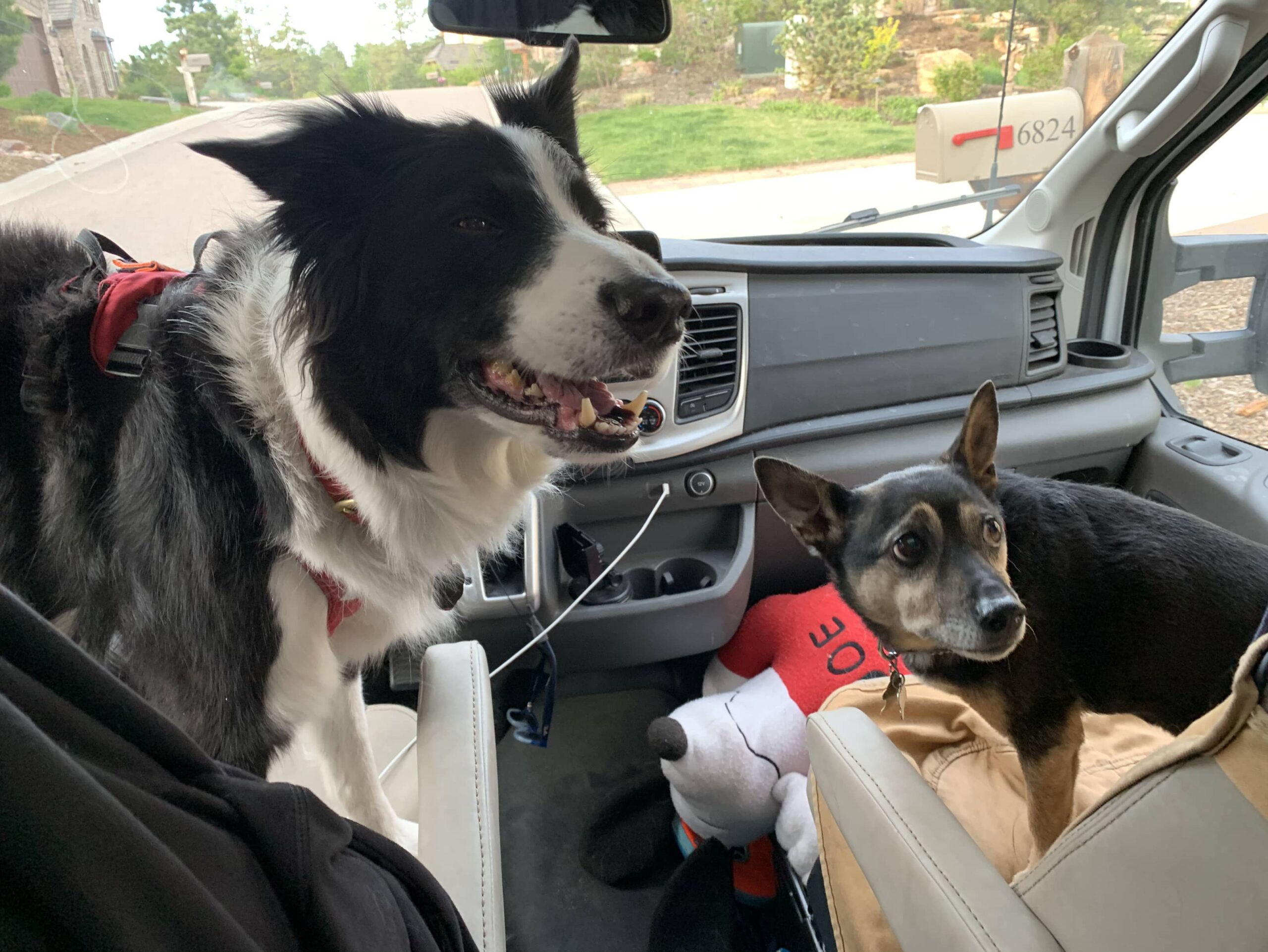 Visits with Friends – Colorado