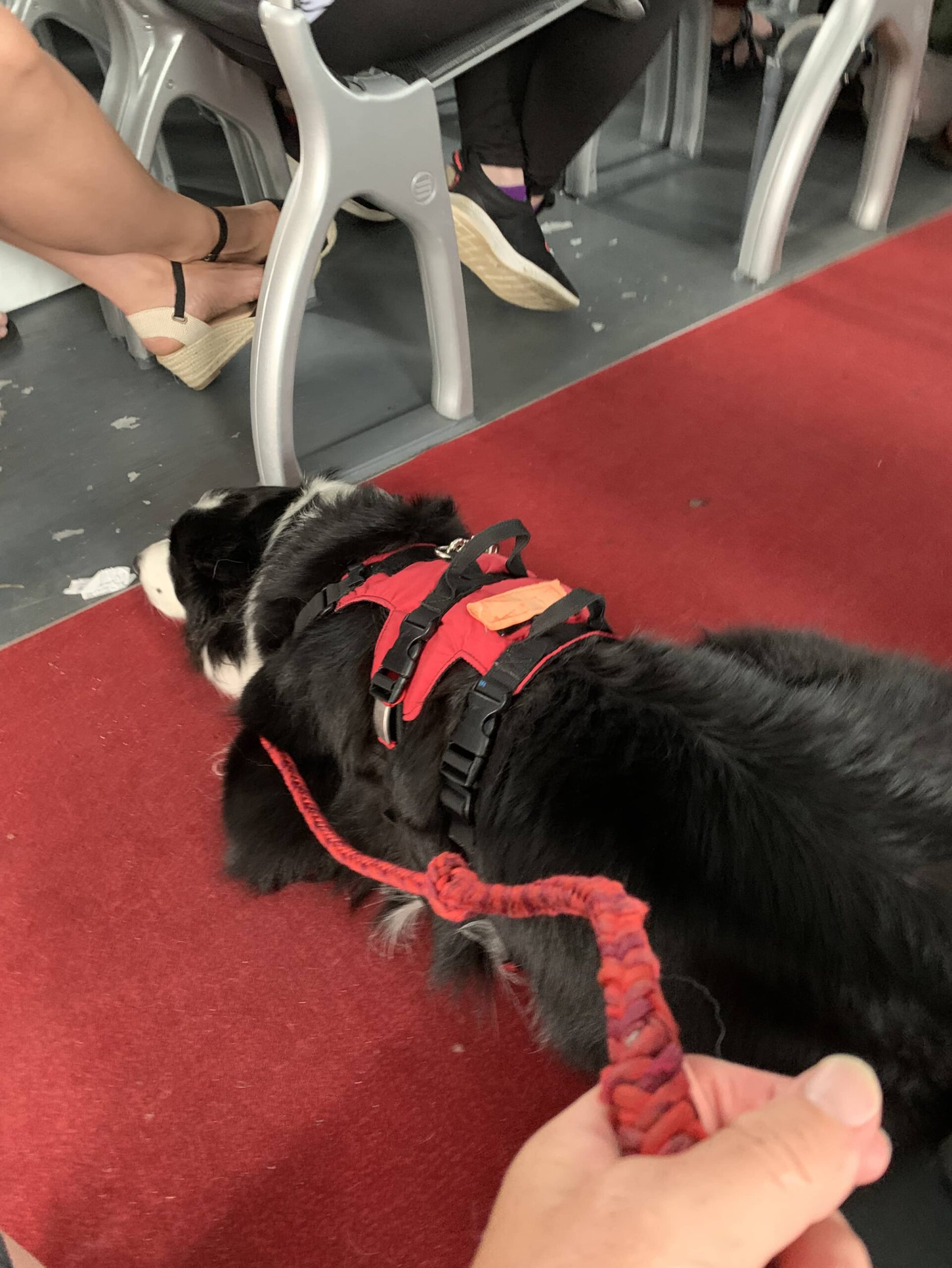 Ferry ride back…. I’s tired Fred