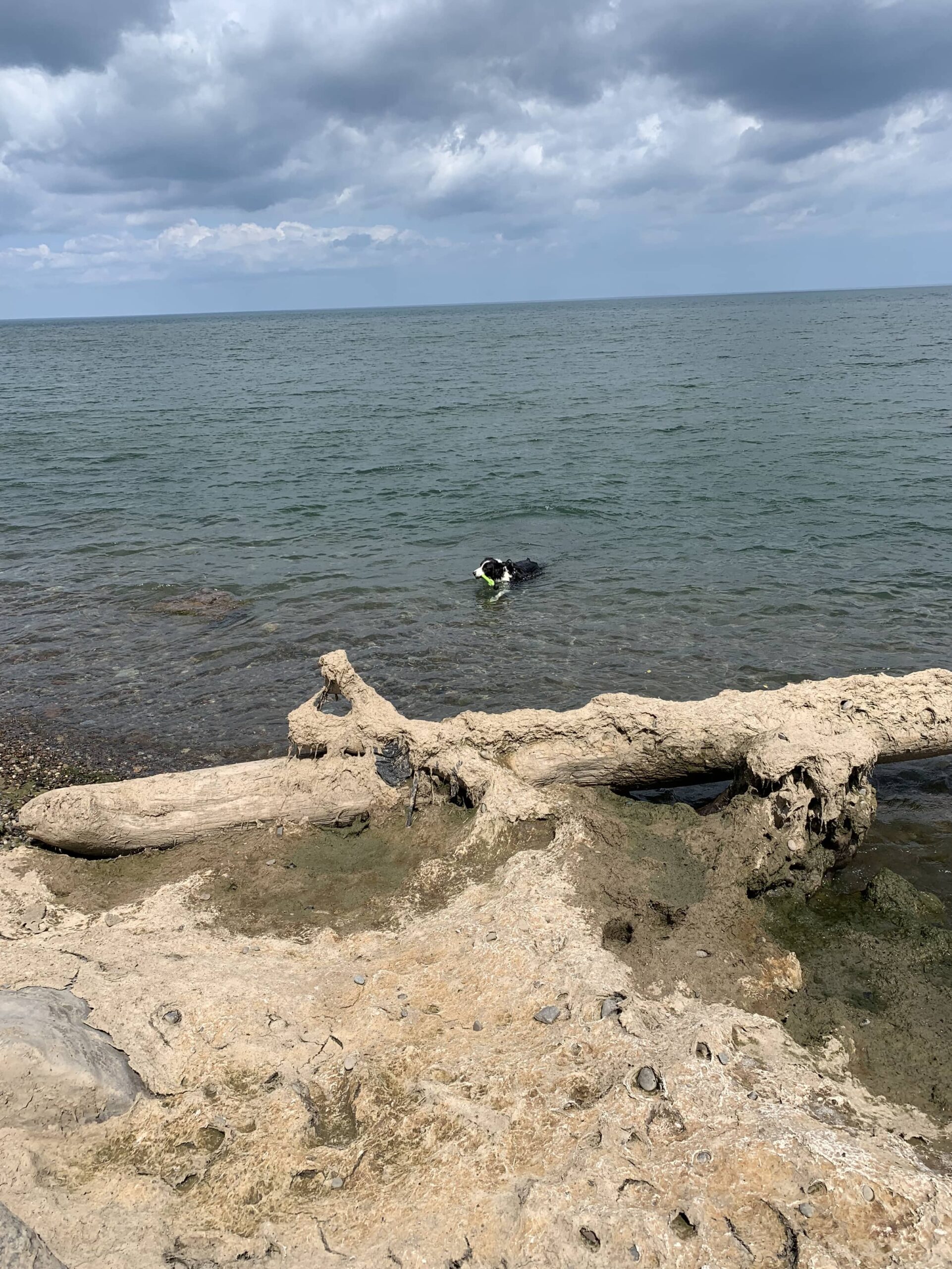 Lake Ontario Swim and Stuff We Did Around Town