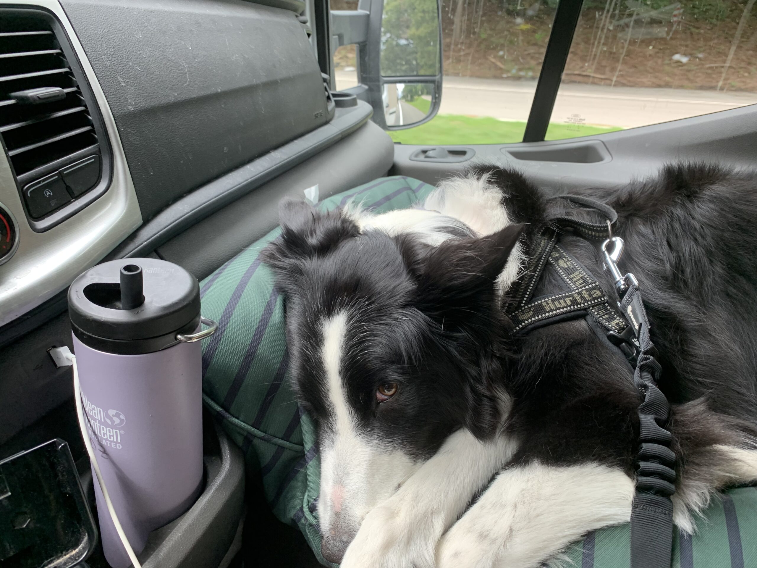 Ashland, VA – visits with more friends!  And an Agility Trial!!!