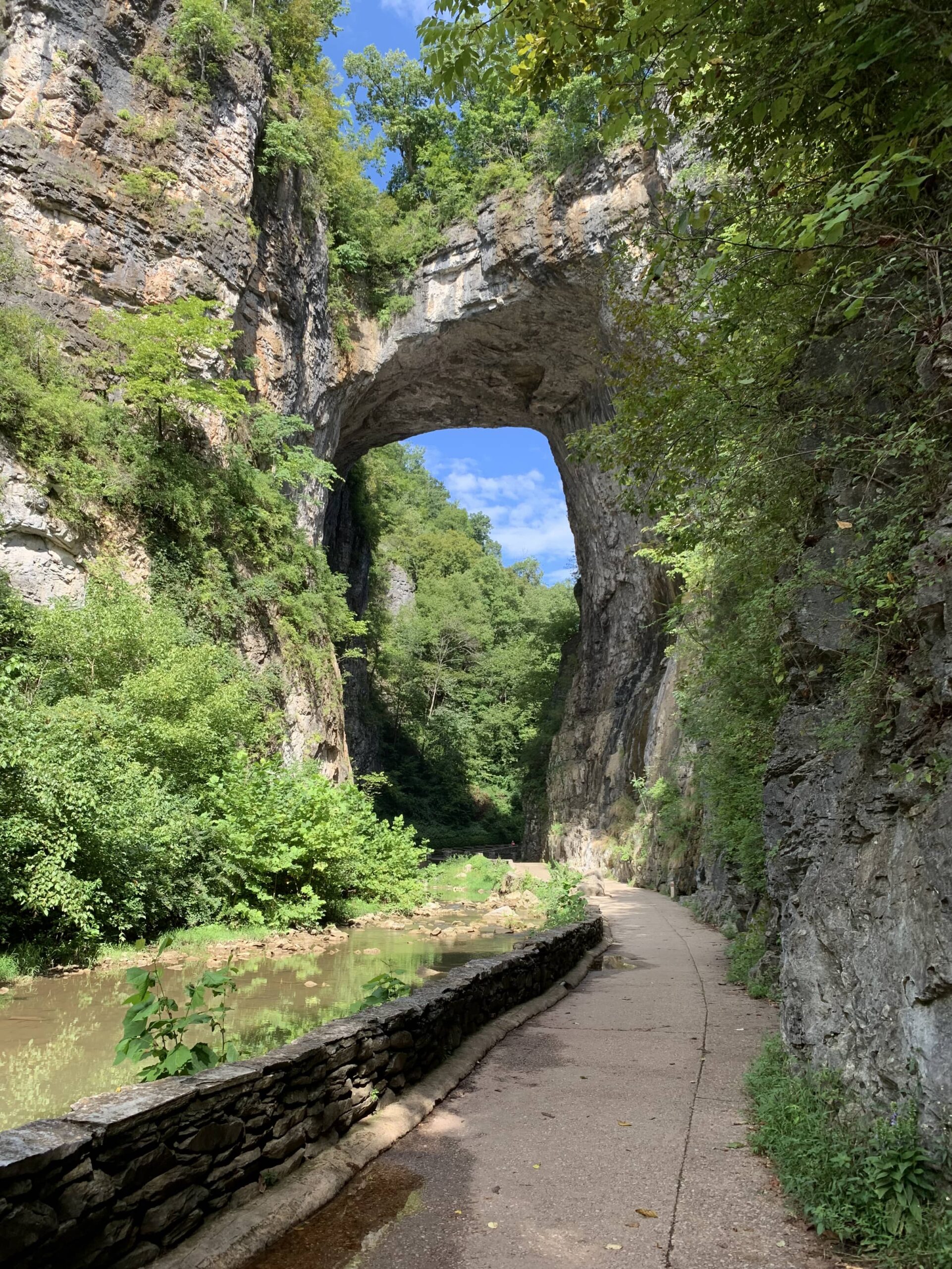 Natural Bridge State Park