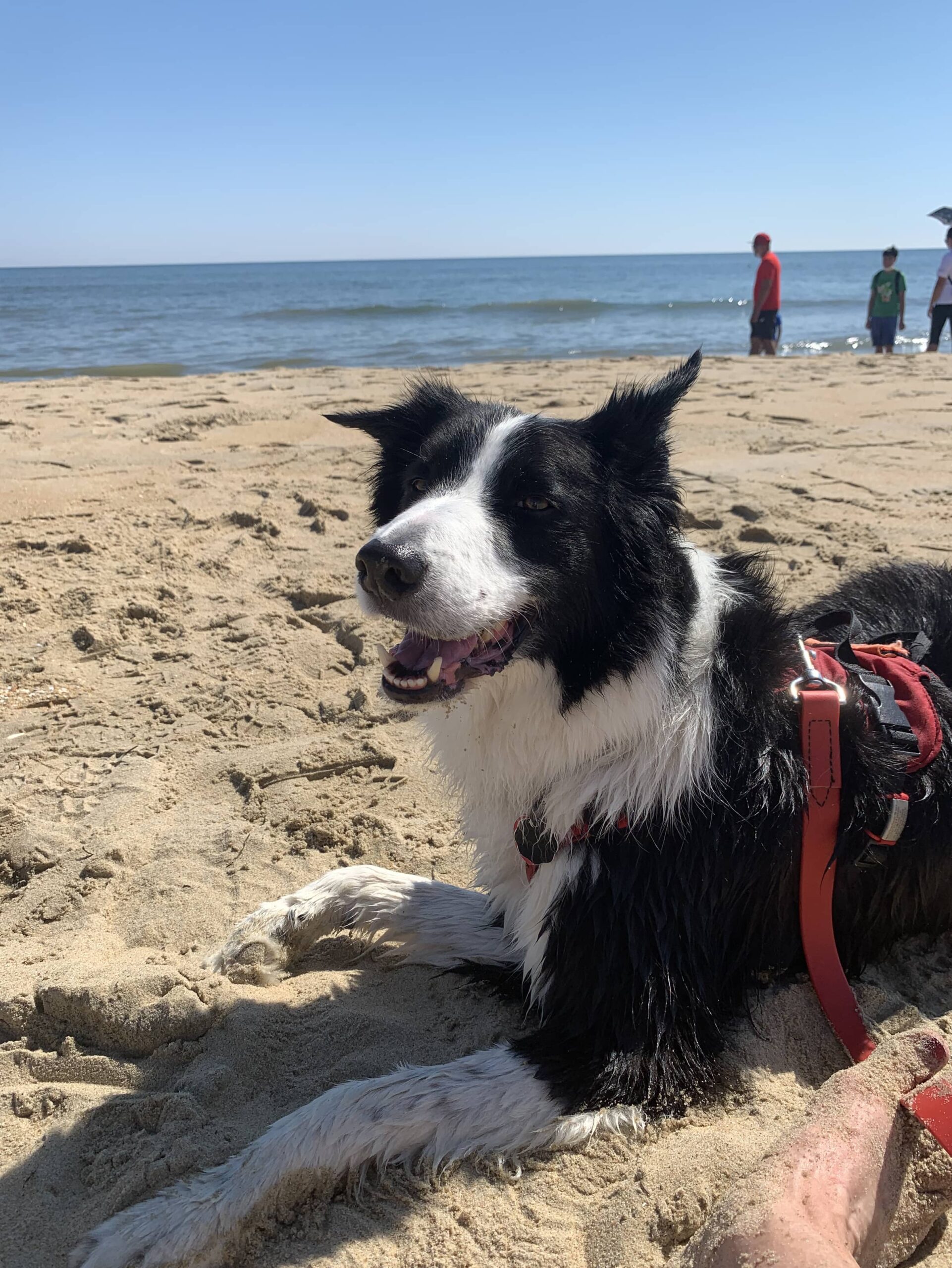 Virginia Beach – part 2 – the beach!